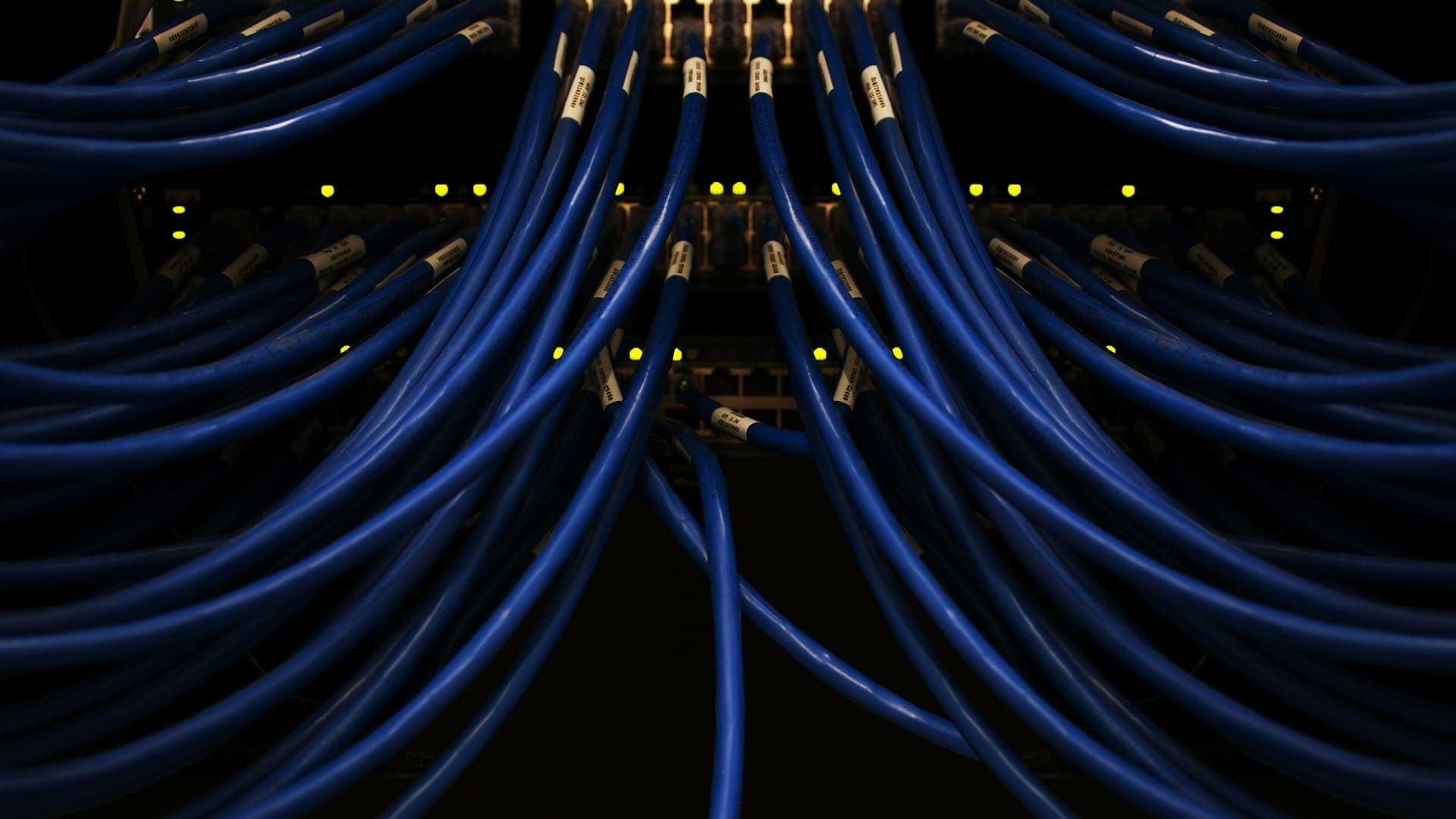 Blue Ethernet cables fanning out from a network switch