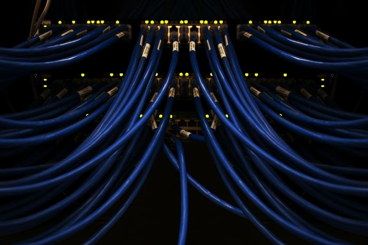 Blue Ethernet cables fanning out from a network switch